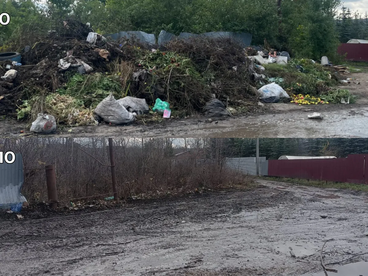 В Нижнекамске ликвидировали несанкционированную свалку по предостережению экоинспекторов