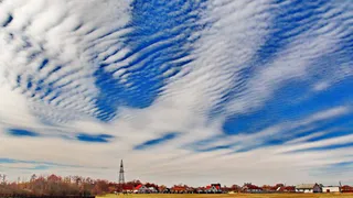 Жителей Брянской области 11 октября ожидает температура до +13 градусов