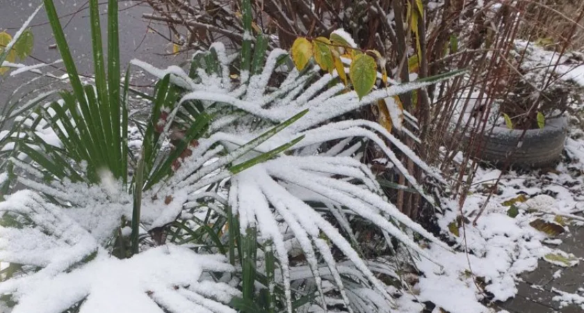 Зверский холод с дождями: синоптики дали прогноз на последние дни июля — достаем теплые куртки и осенние сапоги
