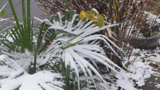 Зверский холод с дождями: синоптики дали прогноз на последние дни июля — достаем теплые куртки и осенние сапоги