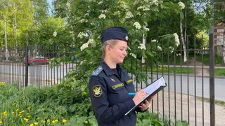 Опасную свалку в Коми ликвидировали лишь при вмешательстве приставов