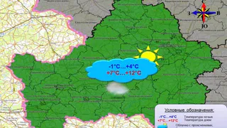 Жителей Брянской области 22 октября ожидает температура до +12 градусов