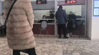 Пензенцы могут получить талон в МФЦ через чат-бот в мессенджере