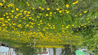 7 мая в Пензе ожидается резкое потепление