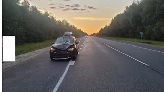 В Шиловском районе водитель Lada насмерть сбил пешехода 22 лет