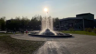 Стало известно о том, что в фонтанах в Коми есть риск подхватить паразитов