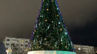 "Выходных не будет, того требует обстановка в стране": в новогодние праздники 2024-2025 внесли неприятные изменения