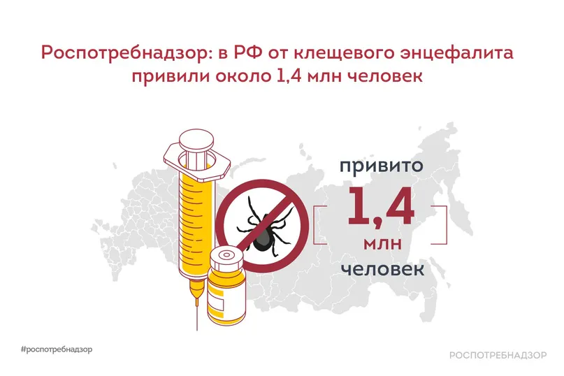 В России от клещевого энцефалита привили около 1,4 млн человек