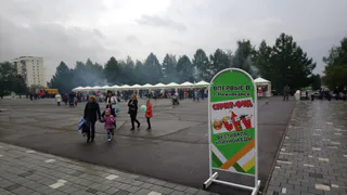 «Стрит-фуд»: в Нижнекамске проходит фестиваль еды