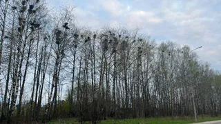 Теплое воскресенье в Татарстане: где взять зонт, а где — купальник