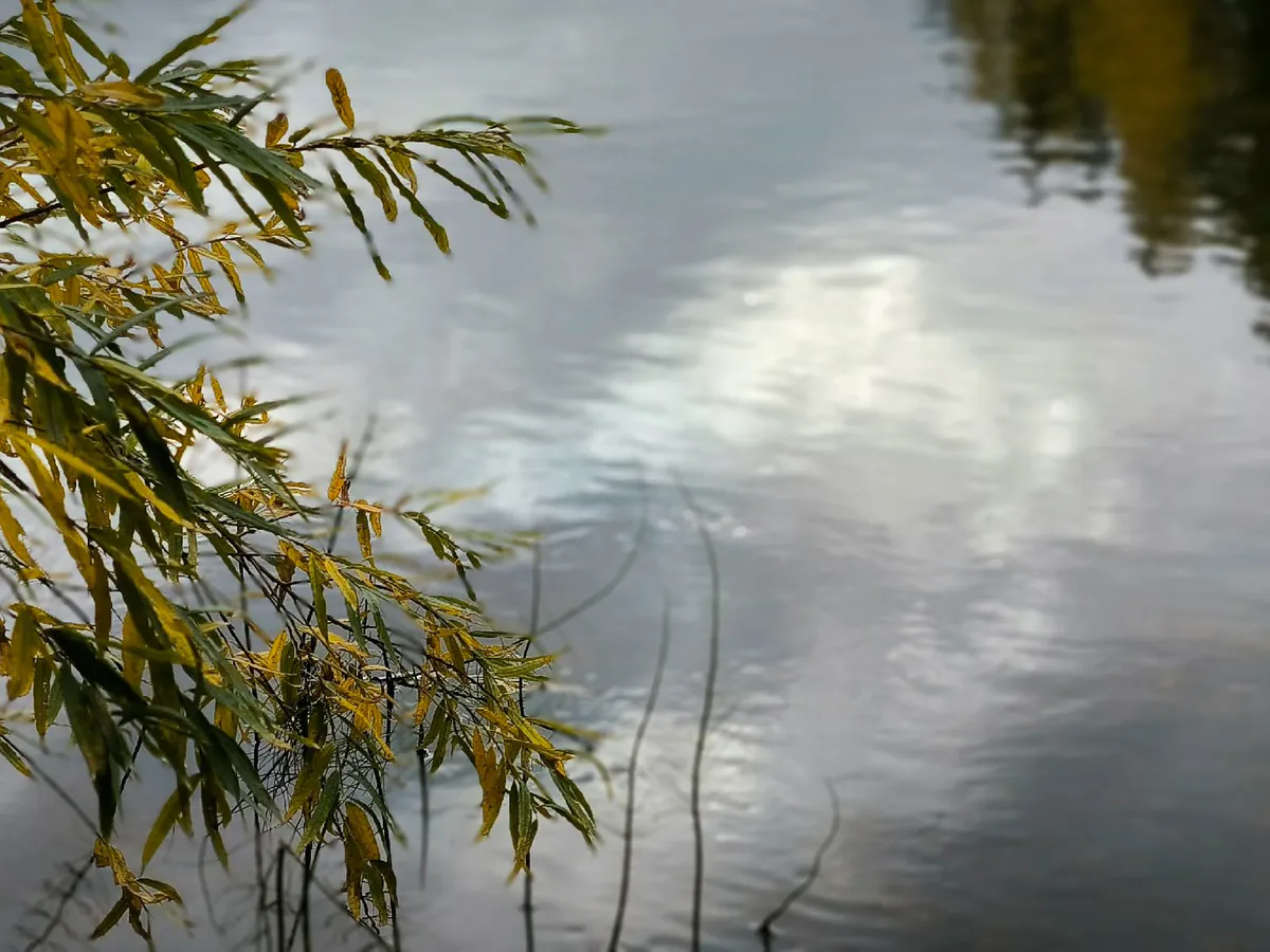 Астрологический прогноз на 28 апреля: испытания и возможности для всех знаков зодиака