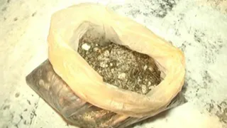 Рязанские полицейские изъяли 7 килограммов марихуаны