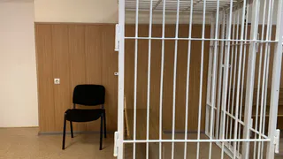 Разорванные купюры послужили поводом для жителя Удмуртии выбросить щенка из окна 9-го этажа