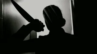 Рецидивистка устроила кровавую резню в брянском селе Займище