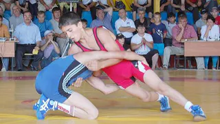 В Нижнекамске пройдут соревнования по боксу и вольной борьбе