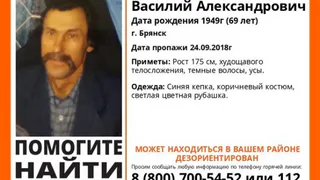 Пропавшего 69-летнего брянца Василия Шведова нашли живым