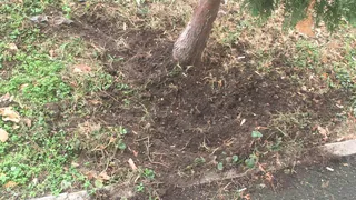 "Она рыла землю, как собака" - читательницу ужаснуло поведение странной женщины