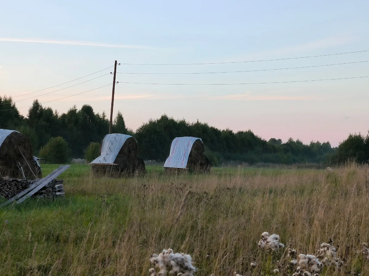 Аграриям Челябинской области выделят льготные кредиты для подготовки к посевной кампании