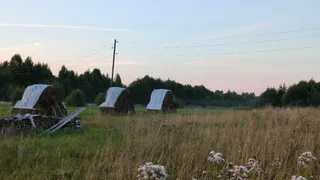 Аграриям Челябинской области выделят льготные кредиты для подготовки к посевной кампании