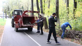 Мэрия Рязани сообщила о результатах общегородского субботника