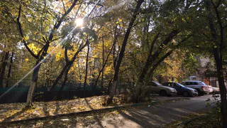 Девять территорий: дворы, которые благоустроят в 2021 году