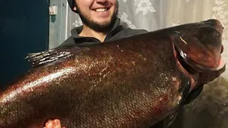 Успешная рыбалка: рязанец поймал огромного толстолобика