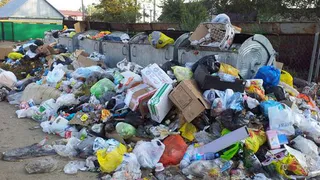 В Нижнекамске экологи проверяют садовые общества