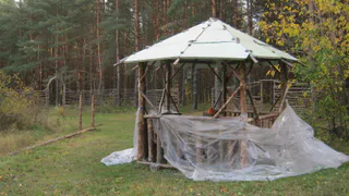 В солотчинских лесах запретят любое строительство