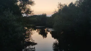 «По ней стало опасно ездить»: житель пожаловался на разрушенную дорогу в Дядьково из-за стройки моста