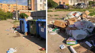 Куда складывать крупный мусор? На Московском переделали контейнерную площадку так, что отходы разлетаются по кварталу
