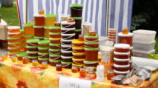 Продукцию от 70 фермерских хозяйств можно будет купить завтра в Брянске