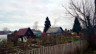 Магнитогорские садоводы получат субсидии: список СНТ и суммы