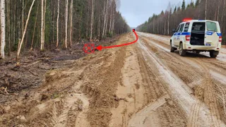 На дорогах Коми за сутки зарегистрировали почти 2000 нарушений и две аварии