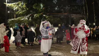 Межнациональная ёлка Владимира вошла в пятёрку лучших в России