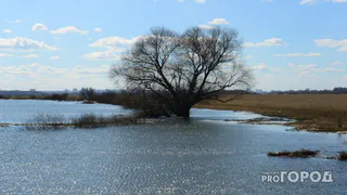 О погоде в Рязани - в воскресенье потеплеет до +6 градусов