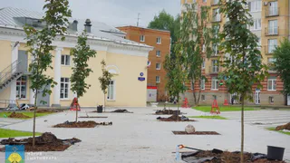 В столице Коми озеленяют новый сквер у кинотеатра “Октябрь”
