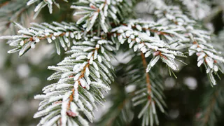 6 апреля в Рязанской области похолодает до -6