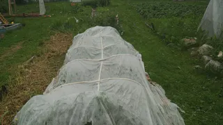 С 7 мая полностью будут запрещены скважины на участке: их заставят убрать