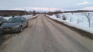 В Скопинском районе Mistubishi Lancer сбил двух пешеходов