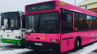 В "Рязанской автоколонне 1310" растрачивали бюджетные средства