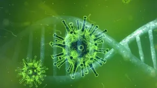 В Брянской области за сутки было подтверждено 88 случаев Covid-19