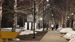 Судьбу парка Нефтехимиков передали в руки нижнекамцев