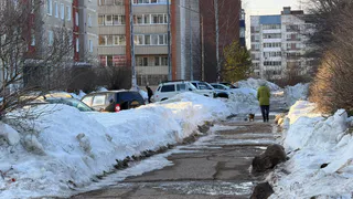 13 ТОС Нижнекамска и Камских Полян получили республиканских грантов на 7 миллионов