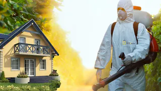 Уничтожим тараканов, клопов и грызунов