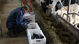 В Рязани появится 3000 рабочих мест благодаря мегаферме