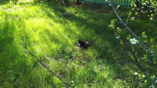 Жара продолжается: погода в Рязани на понедельник