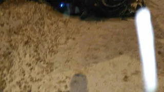 На Северной окружной перевернулся автомобиль