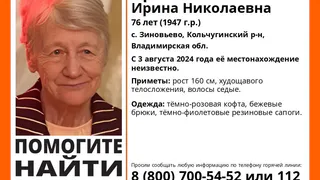 Продолжаются поиски 76-летней пенсионерки, исчезнувшей 3 августа