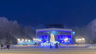 Коми встретит Новый год при спокойной, но морозной погоде