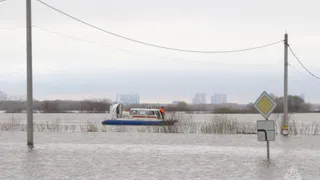 В Рязани уровень воды за сутки в Оке повысился на 24 сантиметра